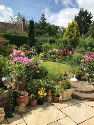 Photo 4- click for photo gallery